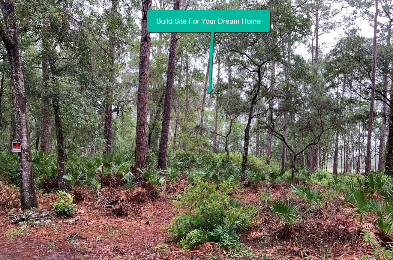 .34 Acre Lot Fort McCoy